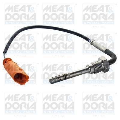 Sensor, exhaust gas temperature